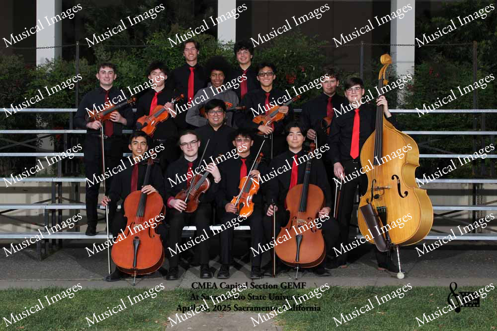 Musical Images